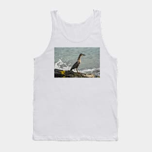 Black-crowned night heron of hawaii 8 Tank Top